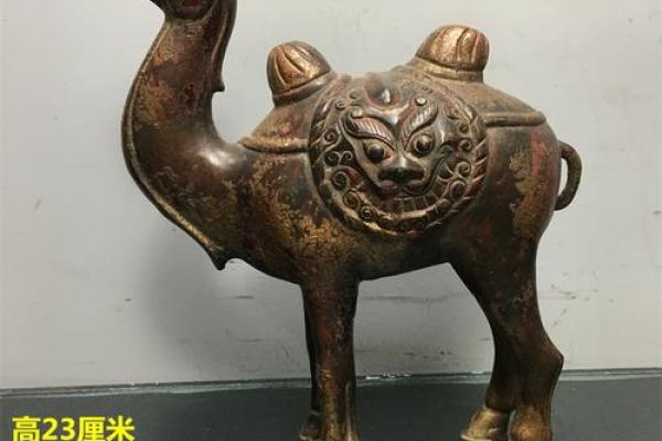 在风水上看沙漠骆驼是否具有良好的作用