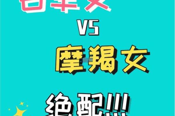 摩羯座与哪些星座最相配