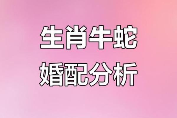 蛇和什么属相配对幸福