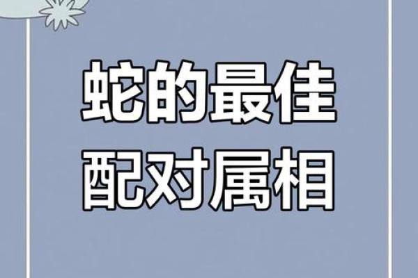 蛇和什么属相配对幸福