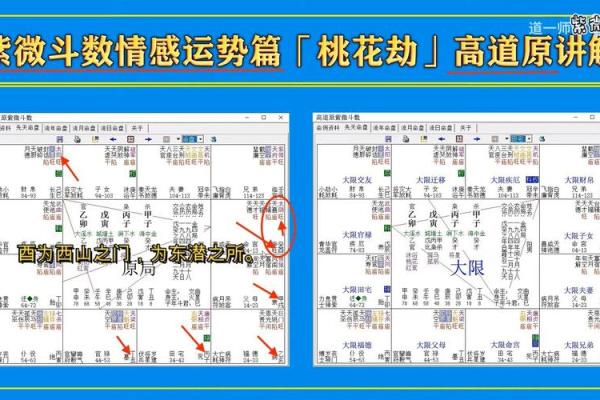 男命紫薇斗数看桃花