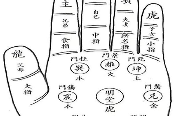 手掌算命
