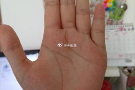 手相假断掌算命图解