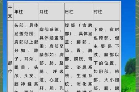 身体健康的四柱八字是什么