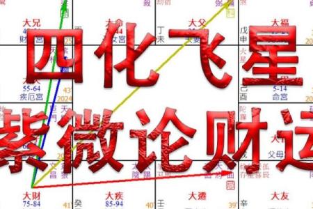 紫薇斗数大财禄