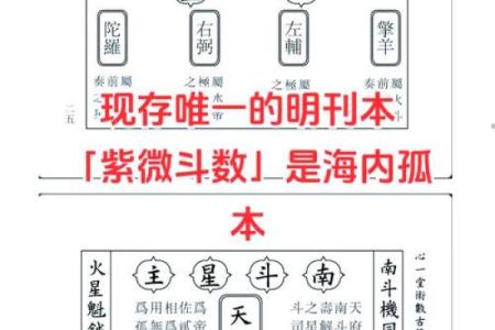 紫薇斗数全书在线阅读