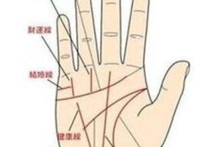 算命看手相算命图解 女性子女线