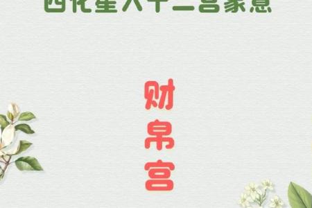 紫微斗数之看钱财