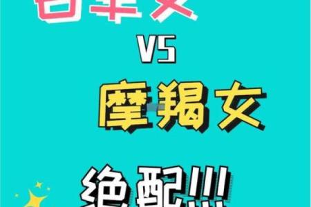 摩羯座与哪些星座最相配