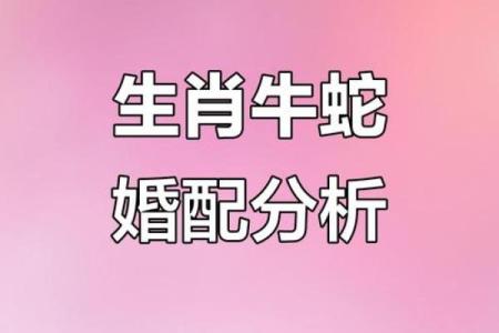 蛇和什么属相配对幸福