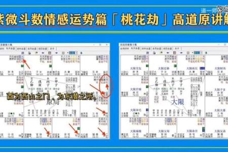 男命紫薇斗数看桃花