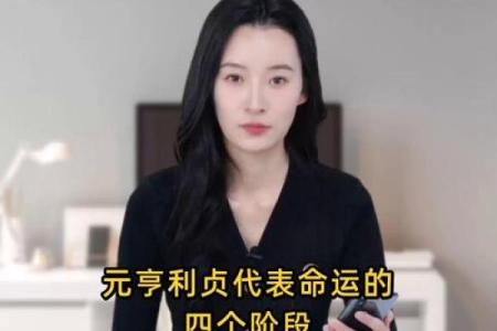 元亨利贞八字排盘
