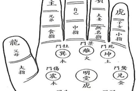 手掌算命