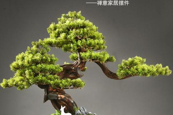 公司风水_办公室摆放迎客松盆景什么位置更佳