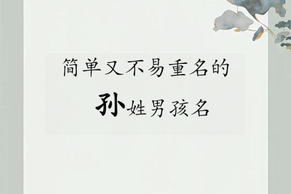 孙姓女孩名字大全-孙姓女孩起名字大全-孙姓名字大全姓名