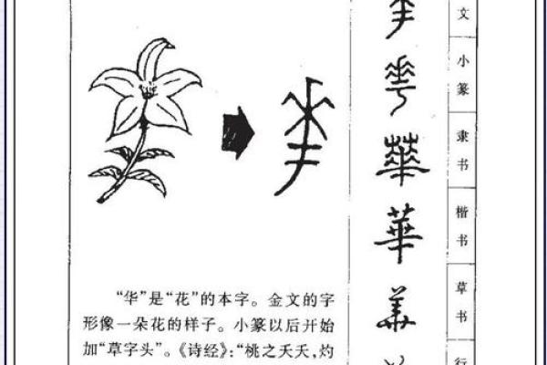 姓屠的名人-姓名学-华易算命网姓名