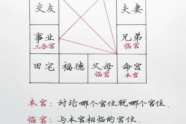 算卦紫薇斗数梅花易数