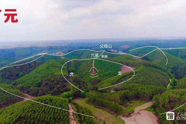 如何看阴宅风水宝地