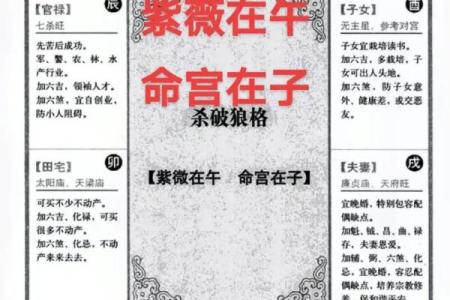 紫薇斗数看文化