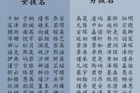 2019年6月5号卯时出生的男孩起名时要注意什么姓名
