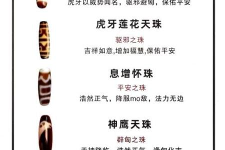 戴天珠的风水