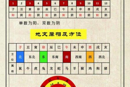 周易算命阴阳八字