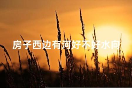 农村的房子后面有条河风水好吗