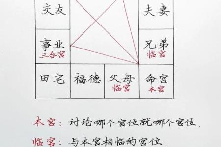 算卦紫薇斗数梅花易数