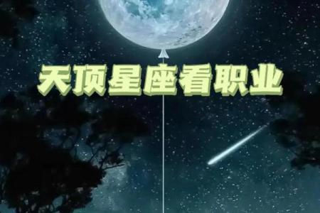 职场中哪个星座执行力最好
