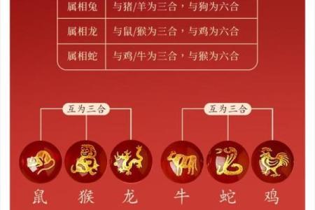 19岁属什么生肖配对 属蛇配对