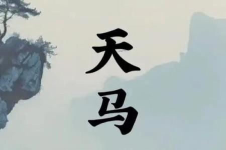 紫薇斗数天马位置不一样