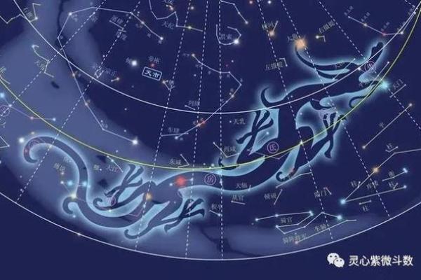 紫云派紫微斗数资料 紫云星是什么意思？