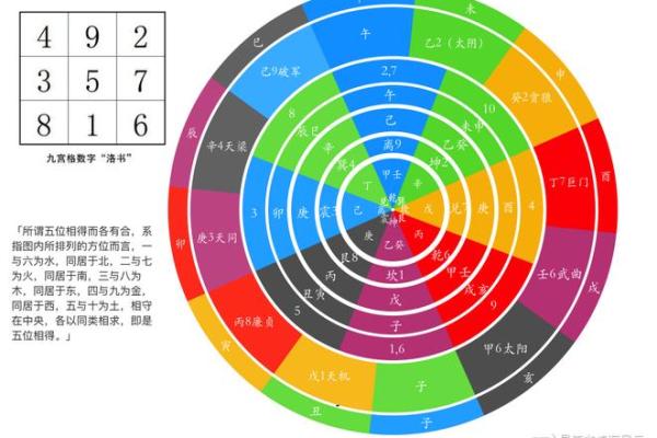 紫薇斗数羊驼夹