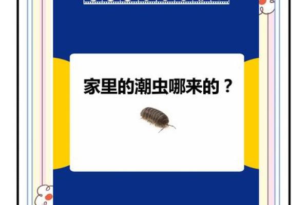 家里风水_家里突然出现多个潮虫是什么征兆