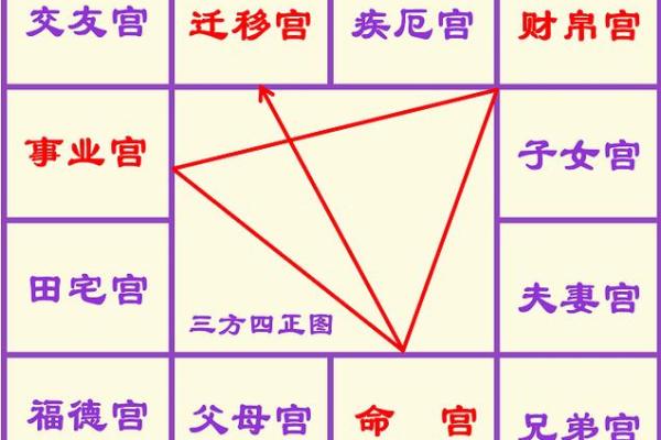 紫薇斗数代表什么