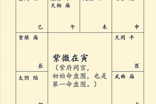 紫薇斗数名词