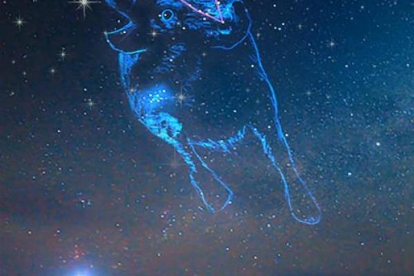 金牛座是什么时候出生的 十二星座金牛座的性格