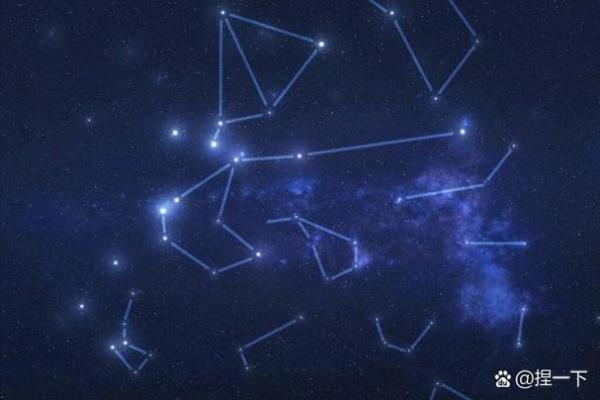 哪个星座女偏财运最好呢 十二星座一生财运排行榜