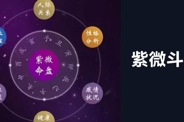 尘封先生紫薇斗数