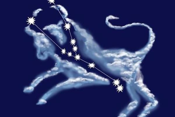 【牛的生肖搭配大全】符合12星座的完美组合推荐！