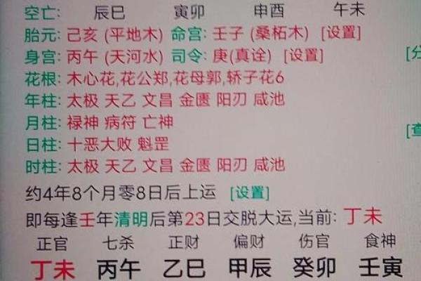 算命丁未日男命
