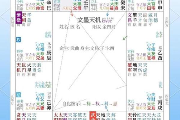 紫薇斗数测学业