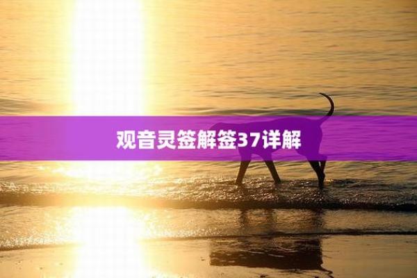 观音灵签第37签详解
