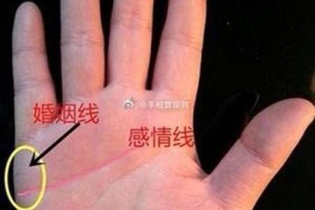 女生算命看左手吗