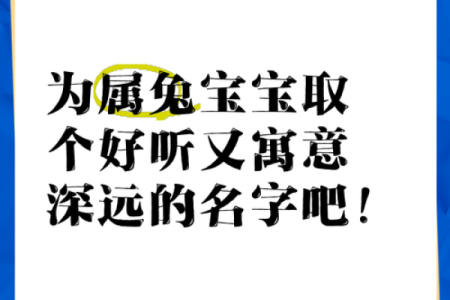 11月份出生的属兔男孩应如何取名字姓名