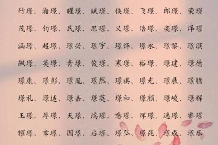 2019年5月16号子时出生的男孩应该起什么样的名字姓名