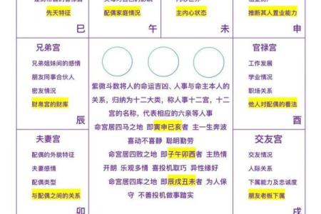 紫薇斗数名词