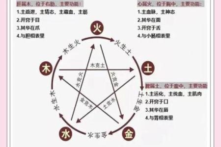 怎样查八字五行缺什么
