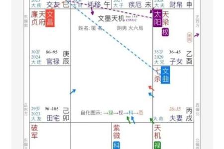 紫薇斗数宫职