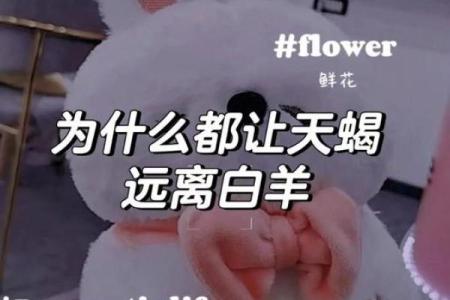 天蝎座女和白羊座男配对行吗